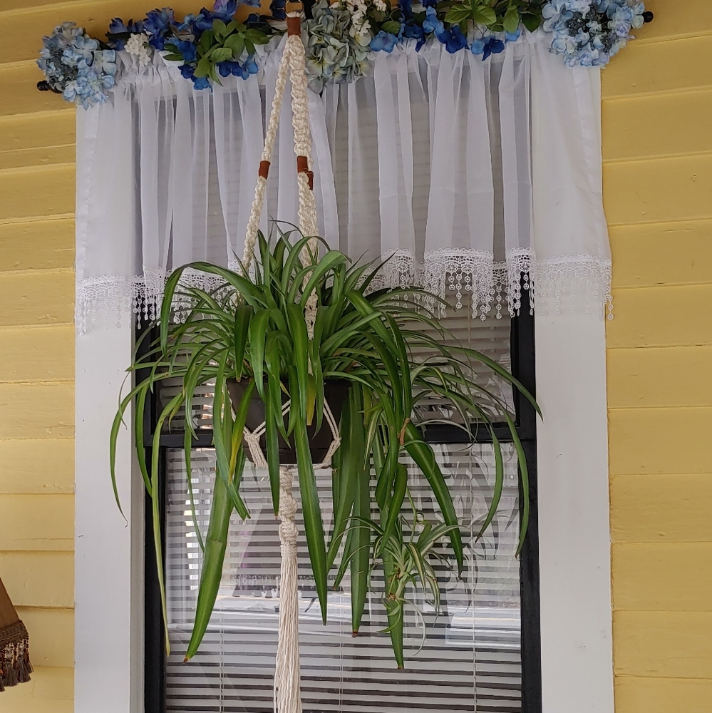 Natural Cotton & Suede Boho Plant Hanger - Picture 8 of 8